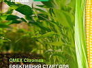 OMEX Citromax 